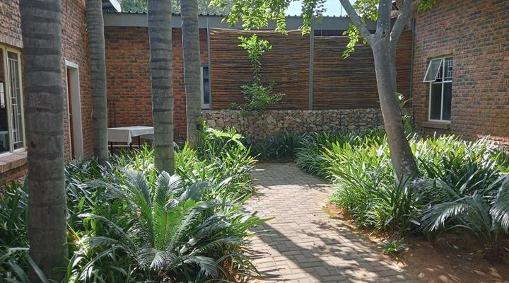 Gorgeous Gecko Guesthouse