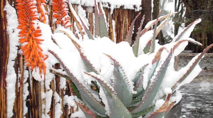 Elandsrus Country Lodge