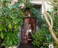 Jambo Guest House