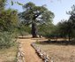 Magorgor Safari Lodge