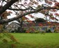 Blarney House B & B