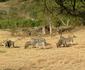 Wokini Guest House & Game Farm