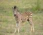 Wokini Guest House & Game Farm
