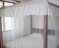 Morning Star Diani