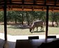 Masorini Bush Lodge