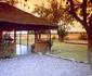 Drifters Maun Lodge