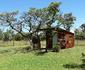 Bee Tree Safari Boma Bush Cabins