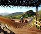 Gecko Creek Wilderness Lodge