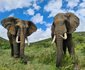 Indalu Game Reserve