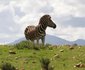 Indalu Game Reserve