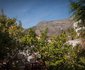 The Lions Guesthouse