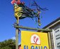 El Gallo Guest Accommodation