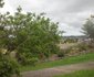 Maitland Meander