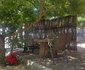Kenridge Garden Cottage