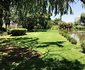 Royal Sable B&B