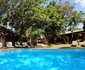 Wild Dogs Safari Lodge