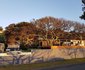 Surf Motel