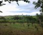 Hluhluwe Backpackers