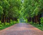 The Garden Venue Boutique Hotel