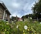 Bella Rosa Guest House