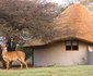 Ubizane Zululand Safari Lodge