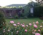 Stonepeak Mountain Lodge