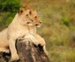 Kariega Game Reserve - Ukhozi Lodge