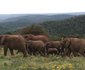 Kariega Game Reserve - The Homestead
