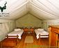 SANParks Addo Main Rest Camp Addo Elephant National Park