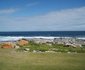 Hermanus Beach Club House 14