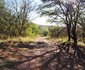 Thwane Bush Camp