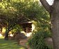 Pure Joy Lodge