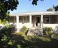 Suikerbossie @ Riebeek-Kasteel