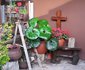 Clivia Huis