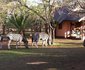 Ingulule Safari Camp