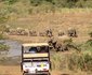 Hluhluwe Backpackers
