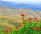 Hluhluwe Backpackers
