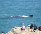Windsor Hotel Hermanus