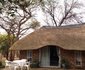 Bushbabies Bushveld Lodge