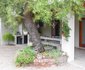 Pane Vivente Self-catering