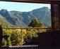 Cape Constantia