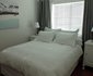 Seagull Mini Suite