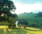 Shonalanga Cottages