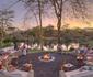 Finch Hattons Camp