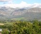 Ladera Vista