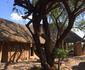 Bua Nnete Game Lodge