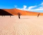 17 Night Experience Namibia Package