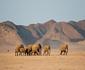 9 Night Culture & Wildlife in Northeastern Namibia Package