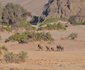 16 Night Namibia Adventure Package