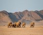 16 Night Namibia Adventure Package